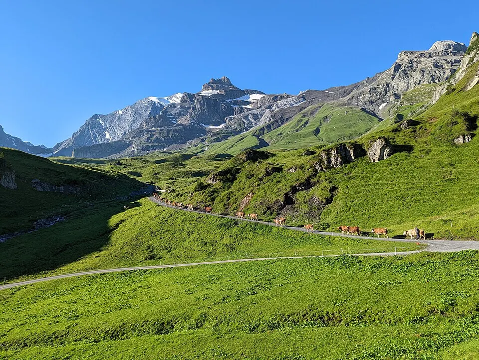 Blüemlisalphütte — Hohtürli Pass