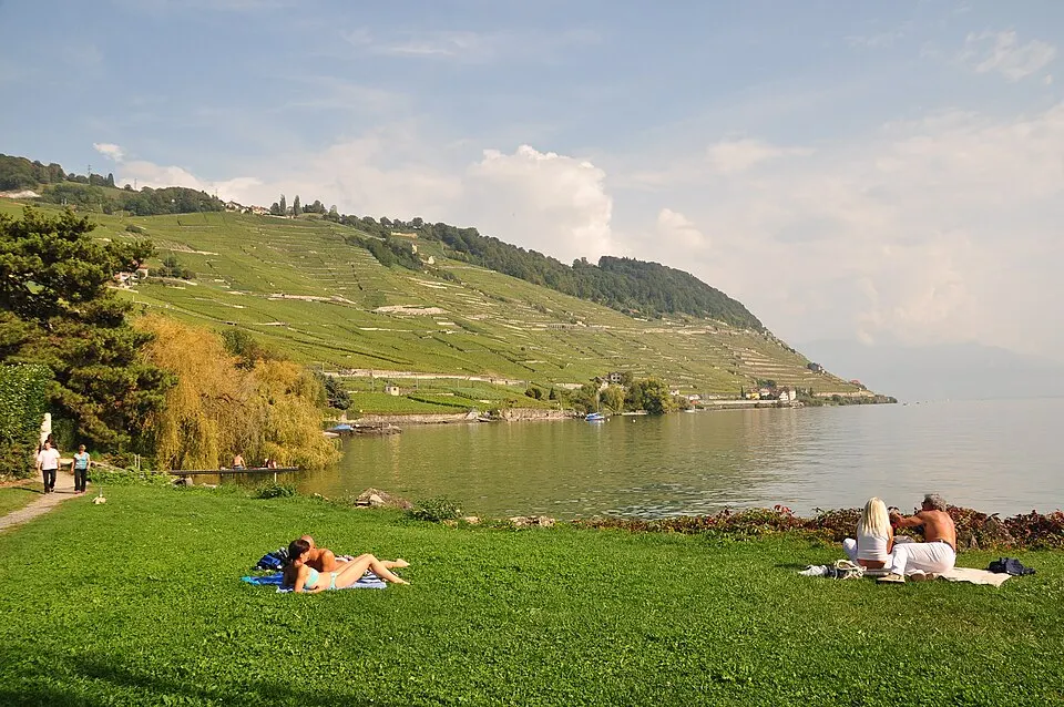 Vignoble de Calamin vu de la plage d'Épesses