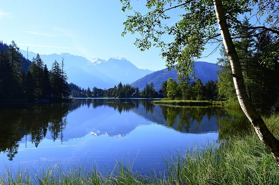 Champex-Lac — Lac de Champex im Juli