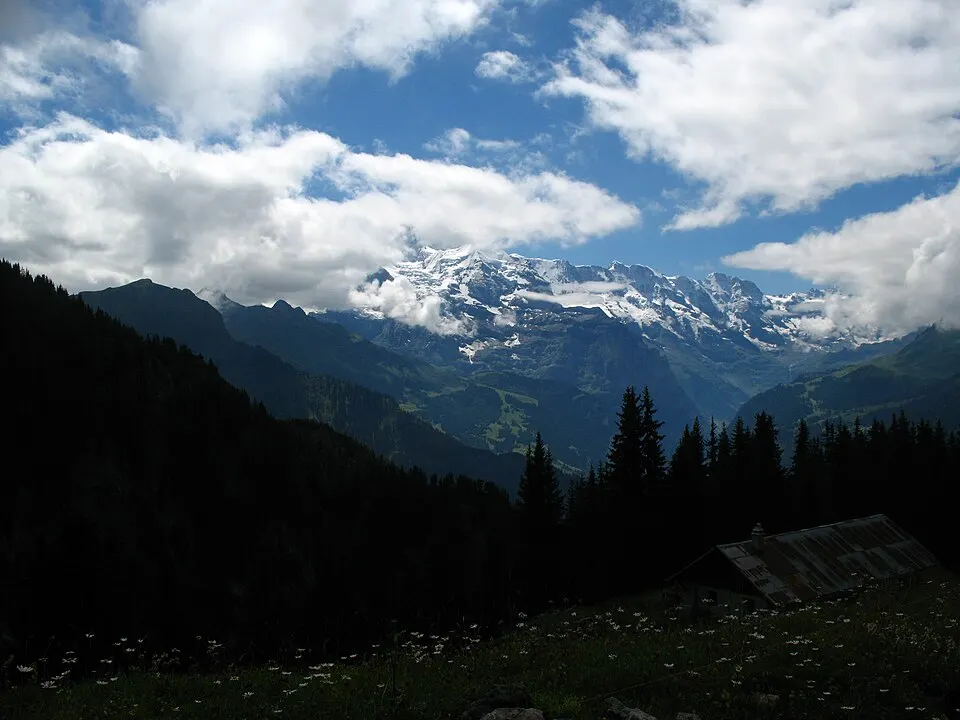 5649 Schynige Platte Männlichen, Tschuggen, Lauberhorn, Jungfrau, Silberhorn, Ebnefluh, Mittaghorn,…