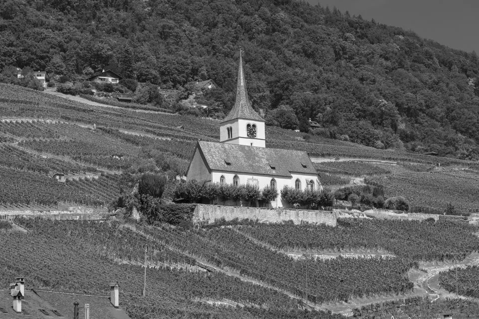 Fully — Black and white photo of a quaint church surrounded by lush vineyards and hills in Swiss countryside.