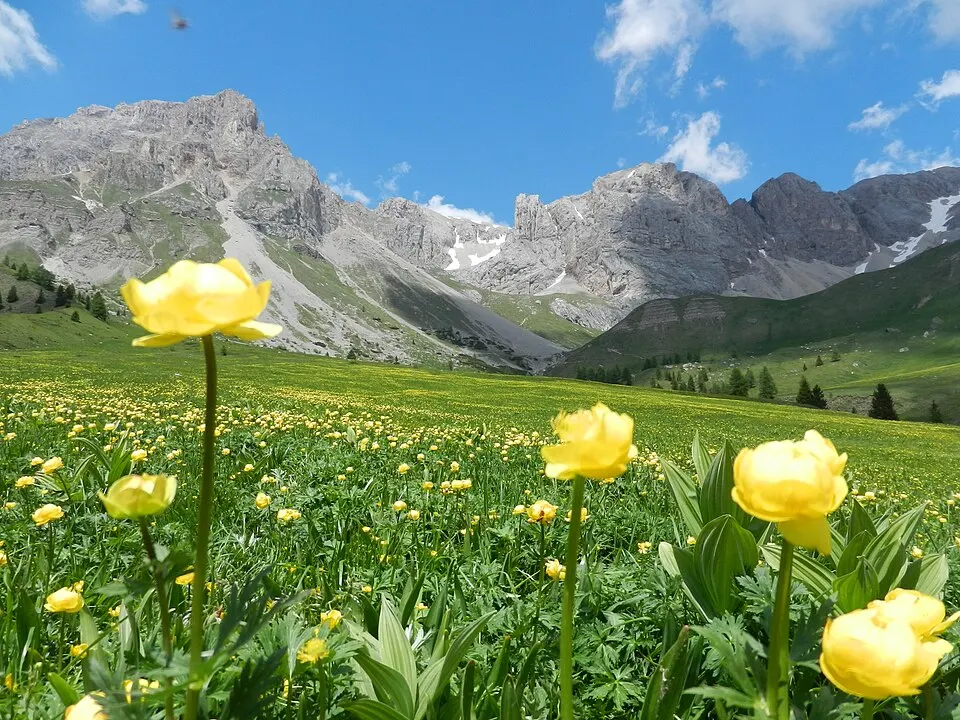 Giardino Mountain — Giardino spontaneo panoramio