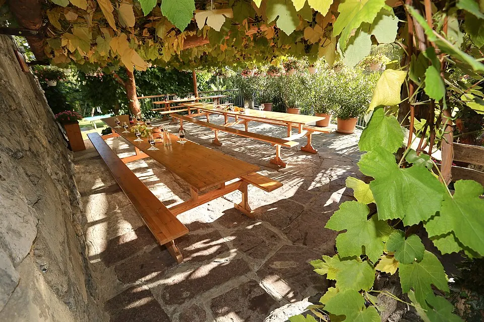 Graubunden — 131017 Bilder Weinbau Peter und Rosi Hermann 38