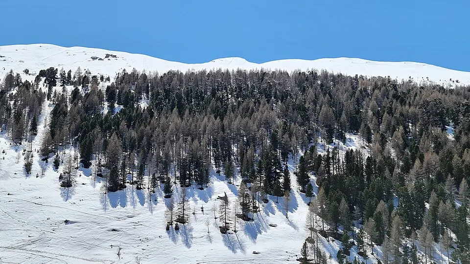 Grosshorn as seen from Pürt