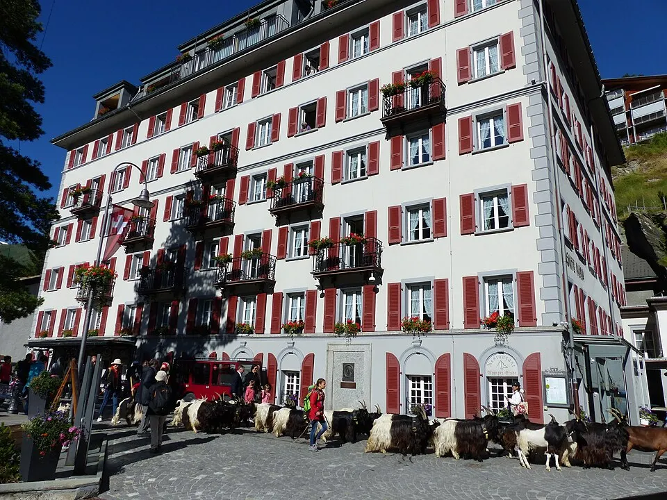 Hotel Monte Rosa Zermatt Ziegen