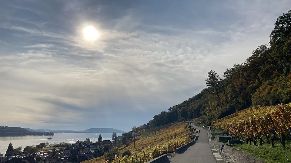 Lake Biel — Twann, lake of Biel Bienne the wineyards in autumm