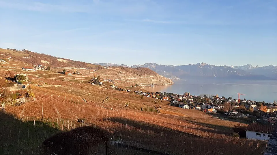 Lavaux, Vineyard Terraces — Lavaux in automn