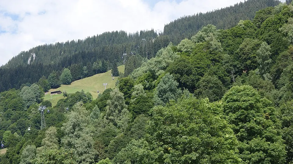 Madrisa gondola — Klosters Gondola Madrisa 11