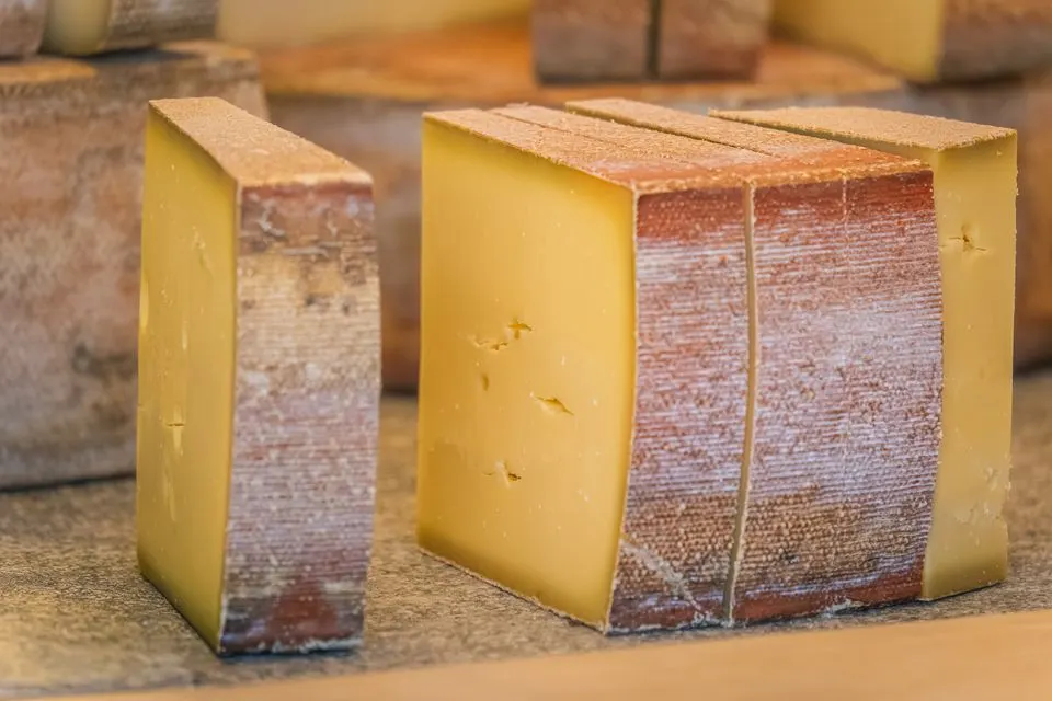 Nationales Milchwirtschaftliches Museum — A detailed close-up of rustic cheese wedges on display, showcasing texture and color.