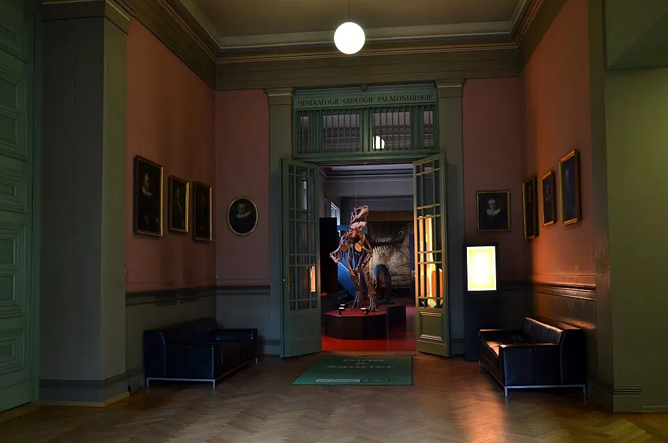 Naturhistorisches Museum Basel view 27102013 2