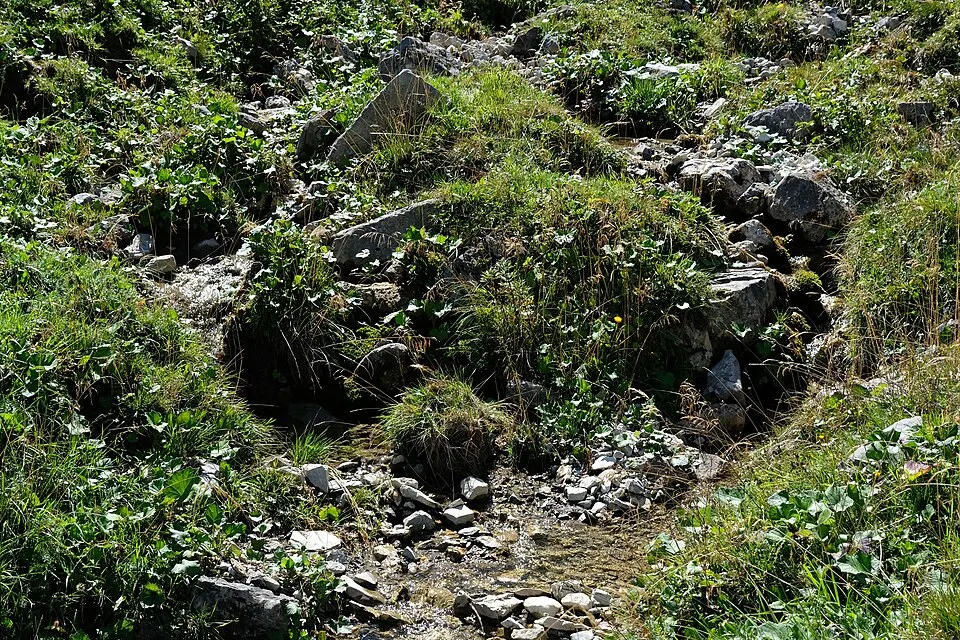 Naturpark Diemtigtal 2024