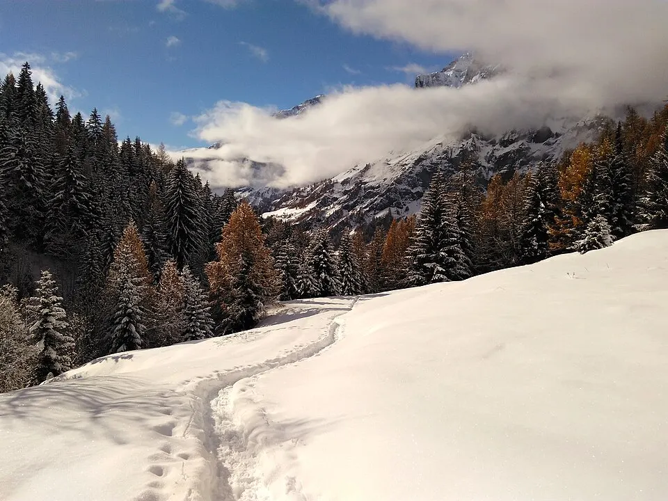 Naturpark Pfyn-Finges — Loeche les bains en hiver