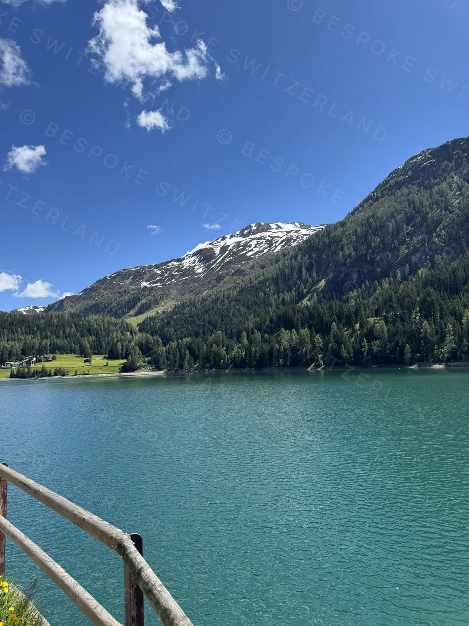 The Davosersee in May