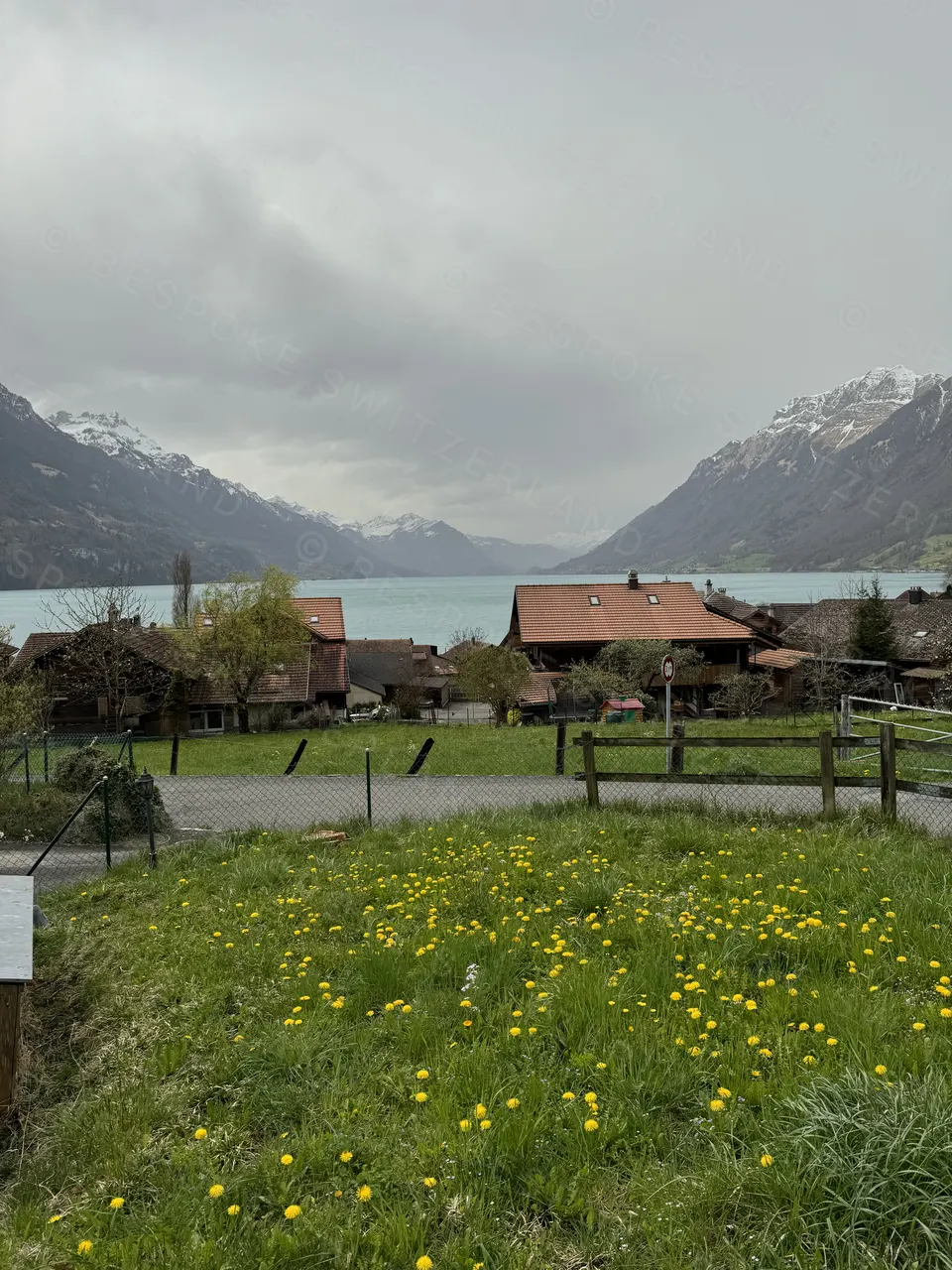 Spring morning on the shore of Lake Brienz