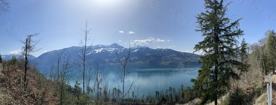 Lake Thun panorama from above Merligen