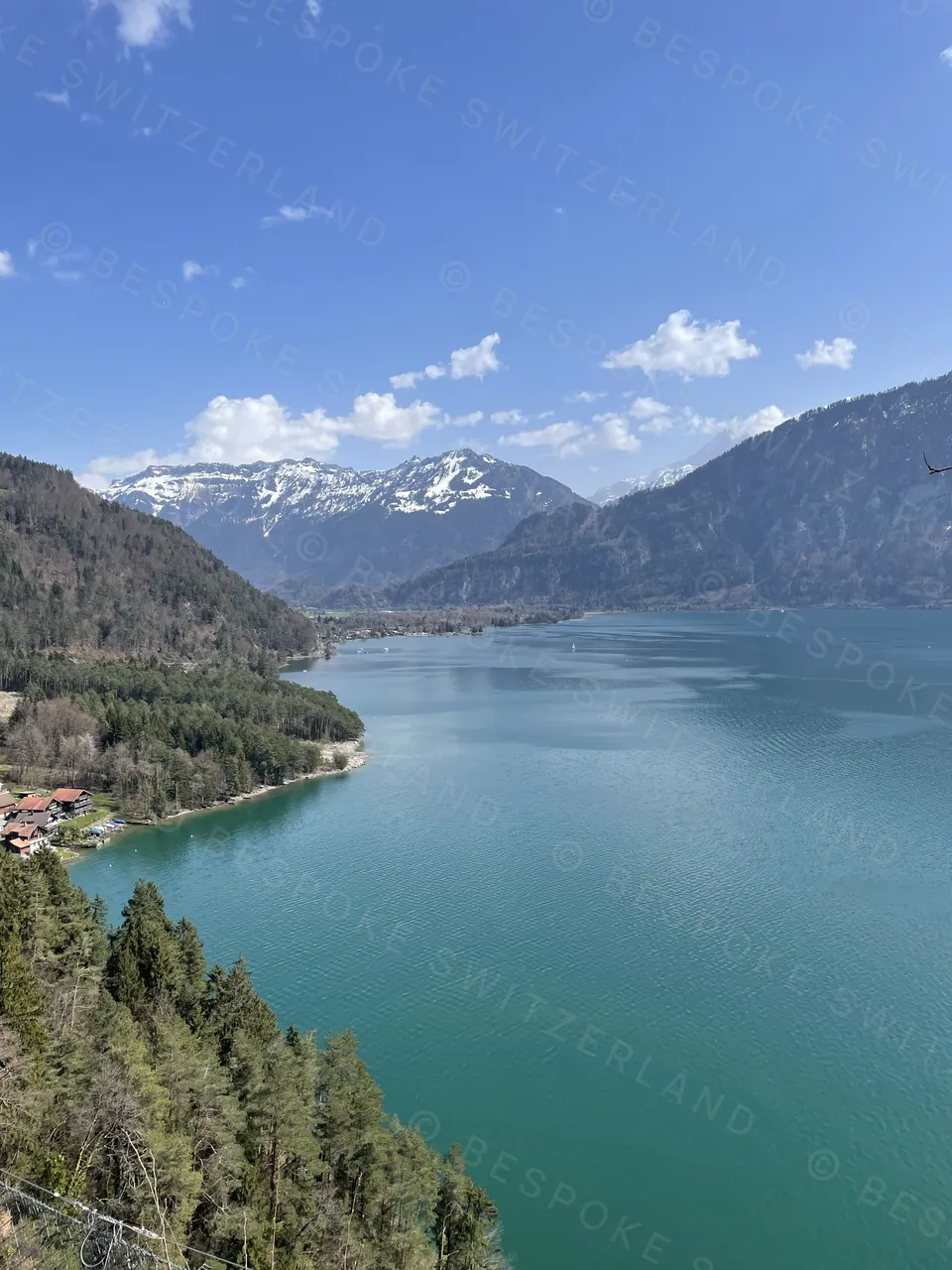 Lake Thun from the Beatenberg road