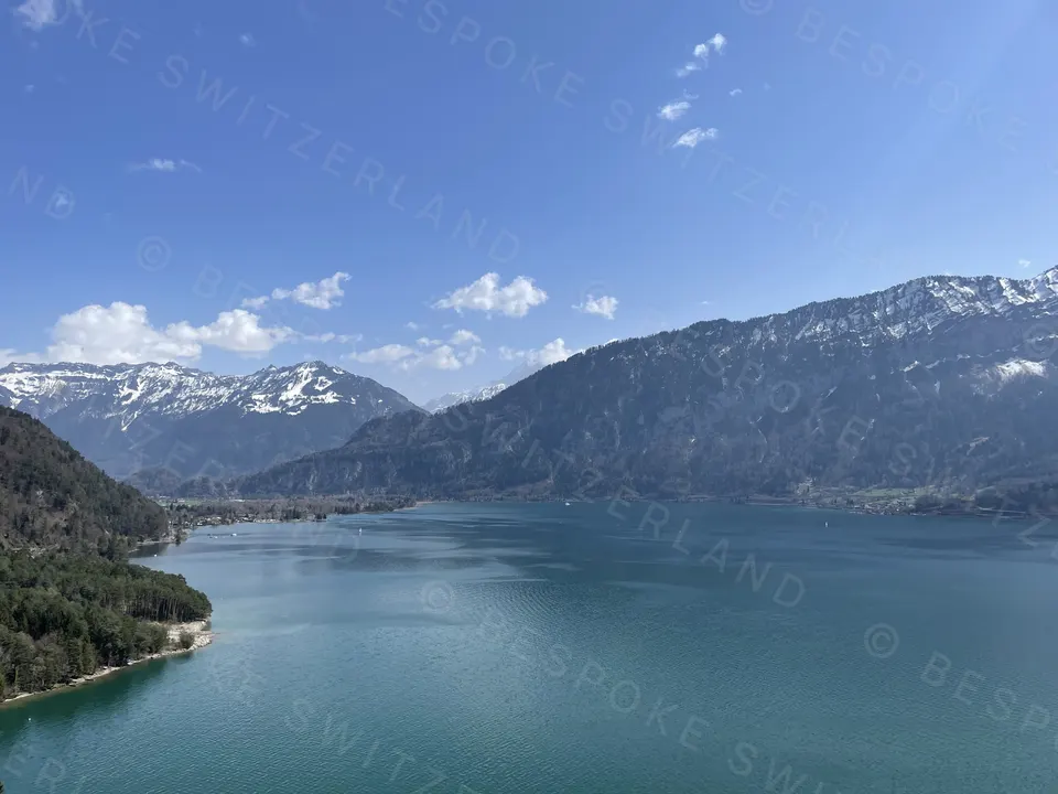 The north shore of Lake Thun in April