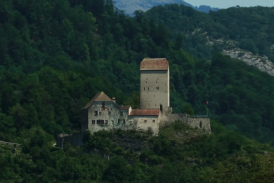 Sargans Castle — Castle Sargans Surrounded By Trees