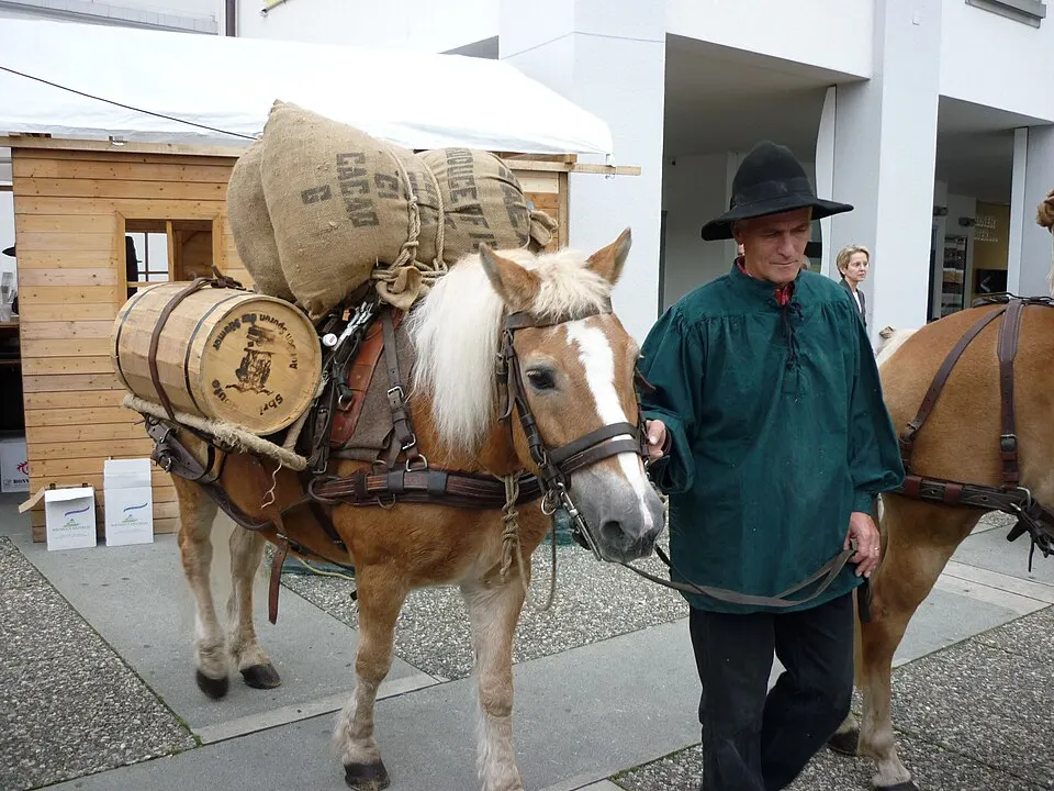 Sbrinz Route Luzern 03