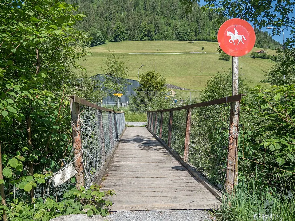 ARA Steg über die Simme, Zweisimmen BE 20220604 jag9889