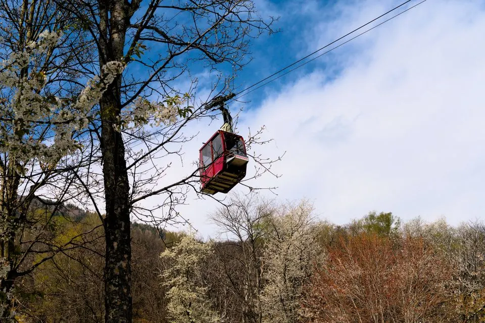 Stockhorn cable car — A red cable car passes through blossoming trees under a clear blue sky.