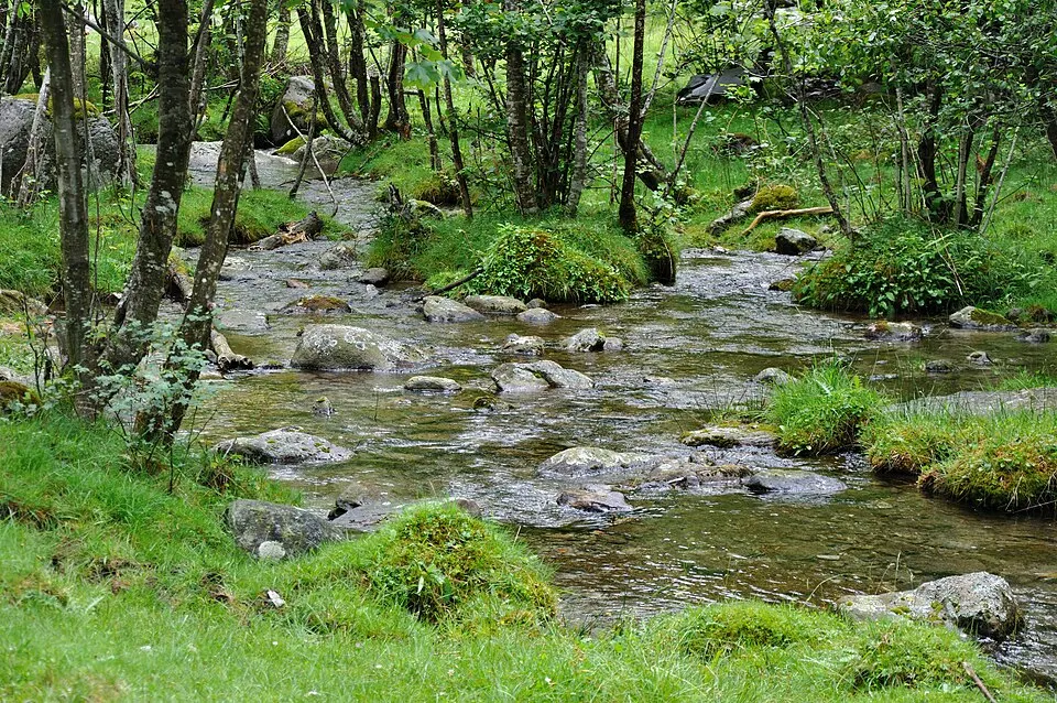 2011 06 06 14 14 55 Switzerland Cantone Ticino Frasco