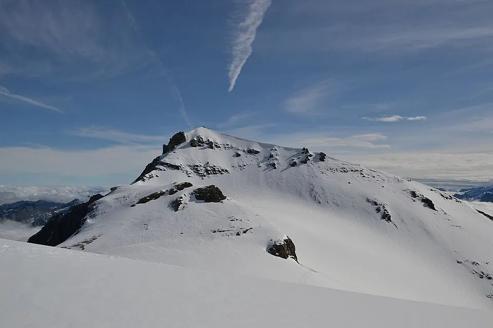 0x tournelon blanc