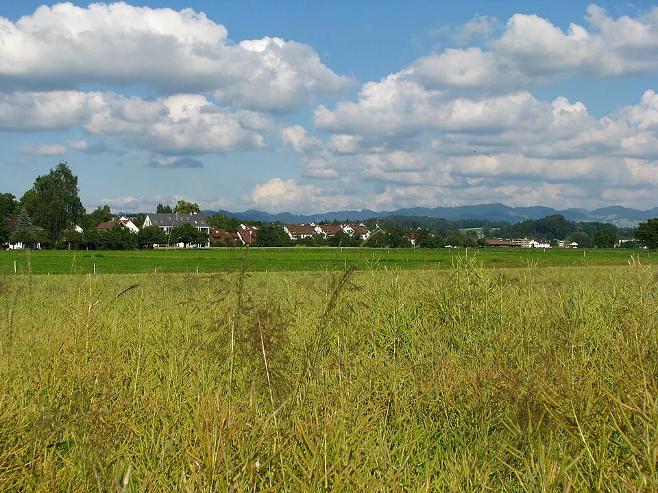 Uster Niederuster Riedikon IMG 3585