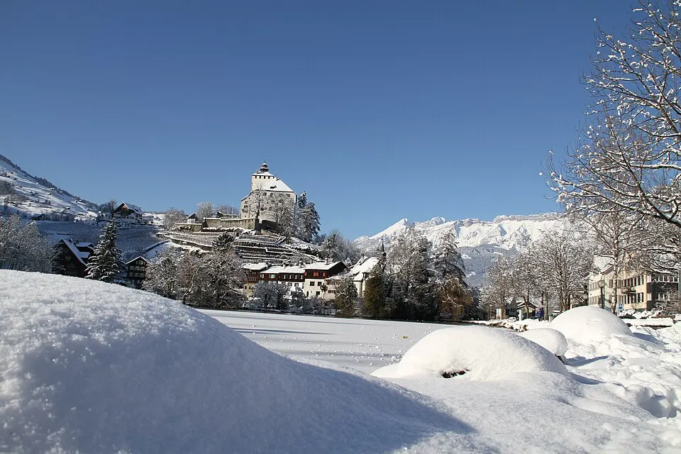 Werdenberg Castle — Lake and castle Werdenberg in the snow