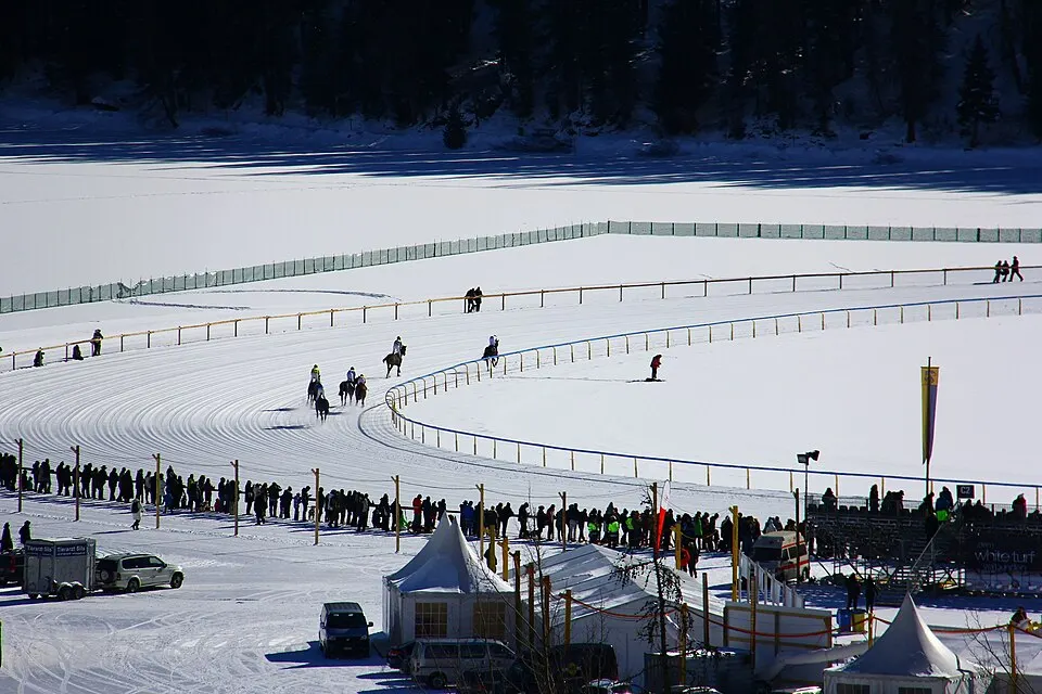 White Turf St. Moritz Suica (8746331414)