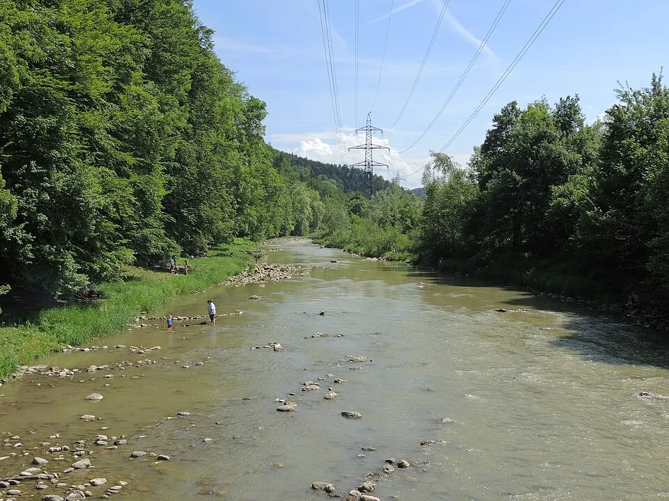 Wildnispark Zürich Sihlwald Sihl 2017 06 03 14 06 58